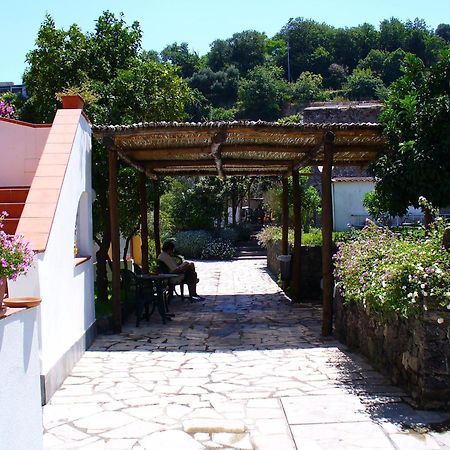 Hotel La Marticana Иския Екстериор снимка