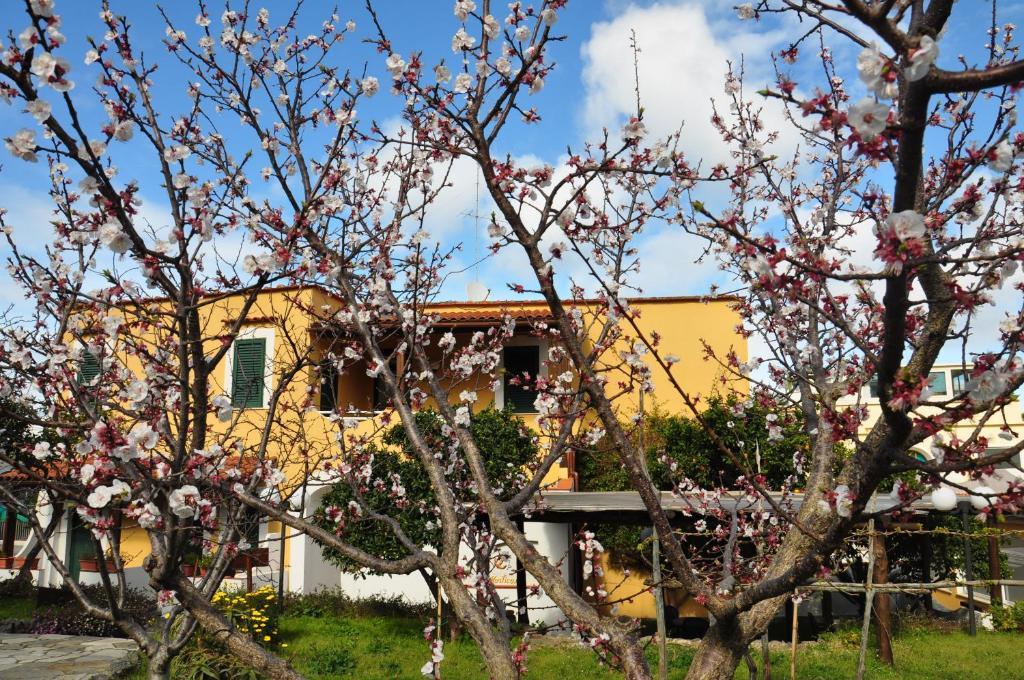 Hotel La Marticana Иския Екстериор снимка