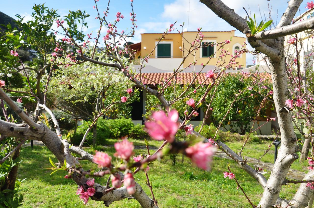 Hotel La Marticana Иския Екстериор снимка